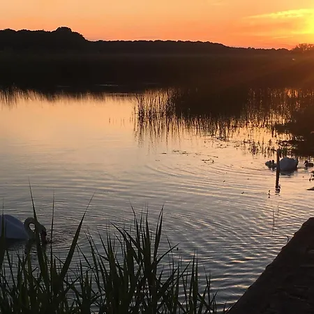 Bergerie Francique 홈스테이 *