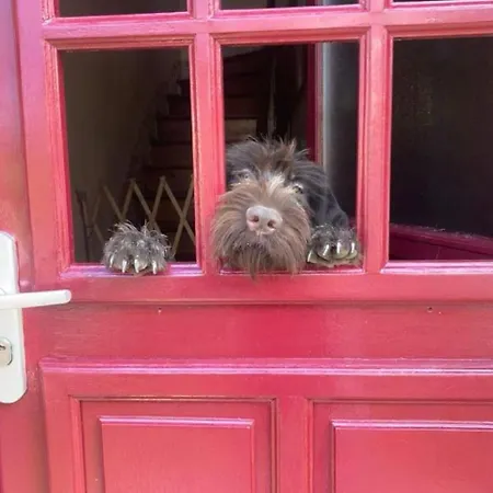 Bergerie Francique 홈스테이 *